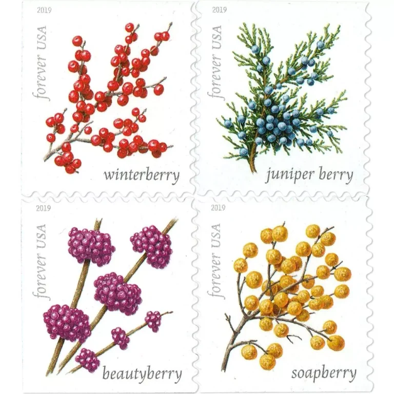 Winter Berries – 100 stamps