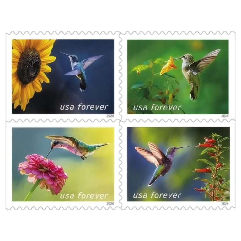 Garden Delight 2024 Stamps – 100 stamps