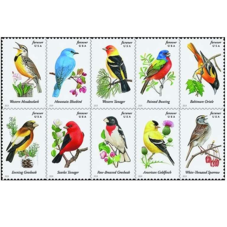 Songbird 2014 Stamps – 100 stamps