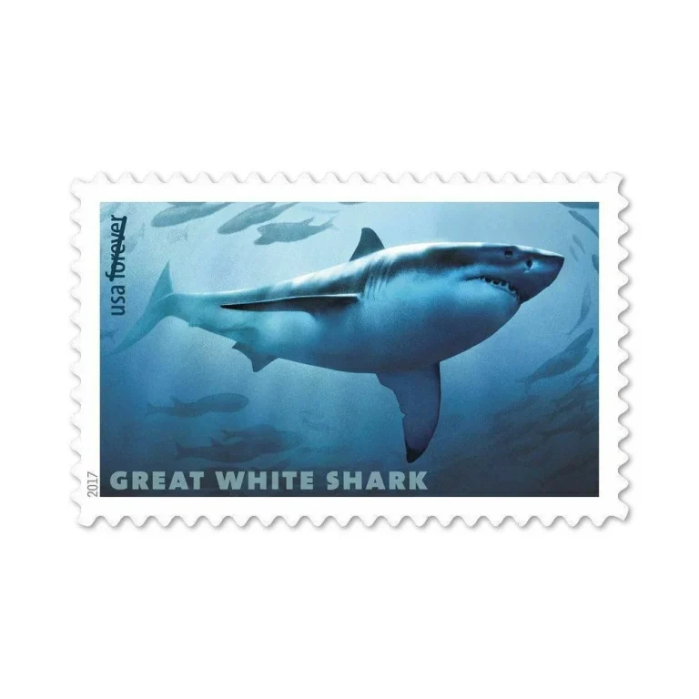 SHARKS 2017 – 100 stamps