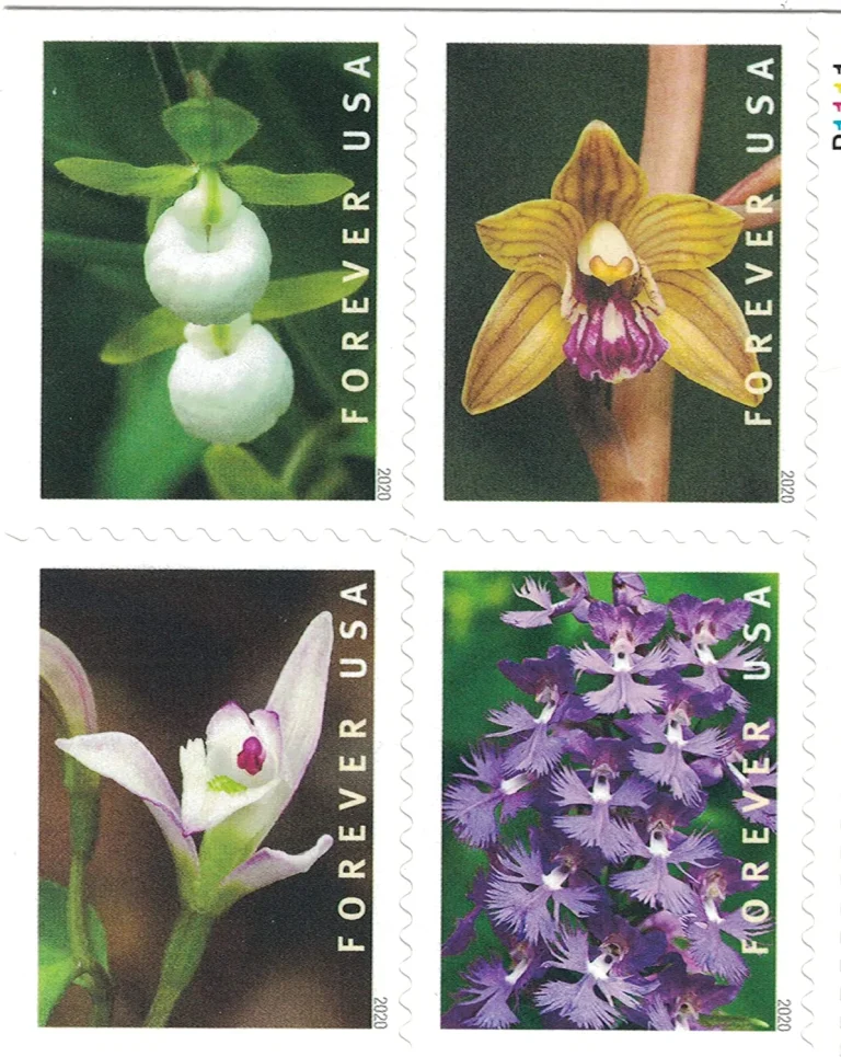 Wild Orchids – 100 stamps